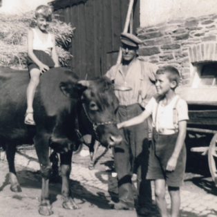 Ferienhof Hardthöhe - Urlaub auf dem Bauernhof, Viehzucht