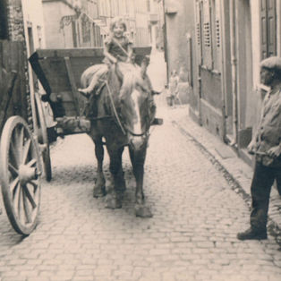 Ferienhof Hardthöhe - Urlaub auf dem Bauernhof, Pferdekarren
