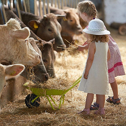 Ferienhof Hardthöhe- Urlaub auf dem Bauernhof, Kinder im Kuhstall