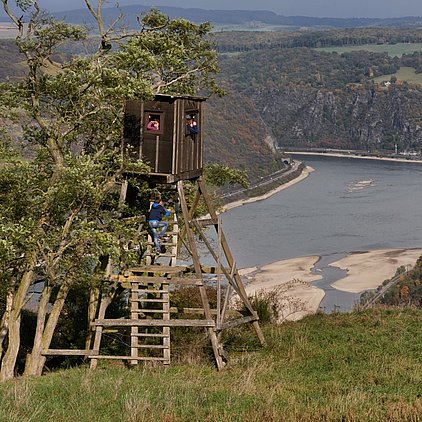 Ferienhof Hardthöhe- Urlaub auf dem Bauernhof, Hochsitz