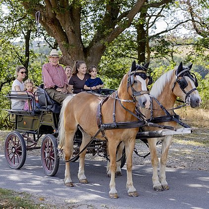 Ferienhof Hardthöhe - Urlaub auf dem Bauernhof, Kutschfahrt
