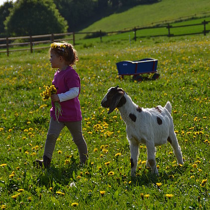 Ferienhof Hardthöhe - Urlaub auf dem Bauernhof, Frida mit Hugo