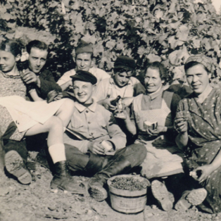 Ferienhof Hardthöhe - Urlaub auf dem Bauernhof, Weinlese Pause