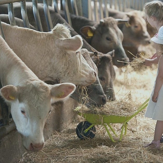 Ferienhof Hardthöhe- Urlaub auf dem Bauernhof, Kuhstall