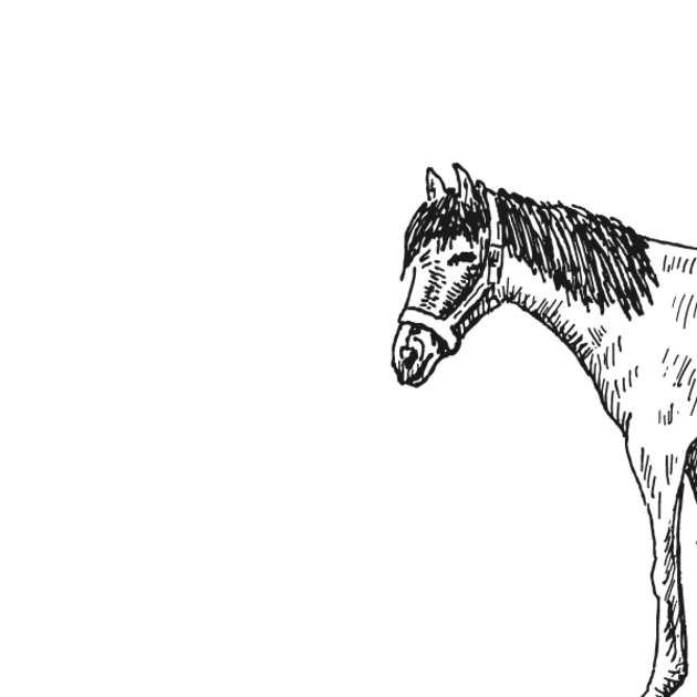 Ferienhof Hardthöhe- Urlaub auf dem Bauernhof, Kaligrafie Pferd