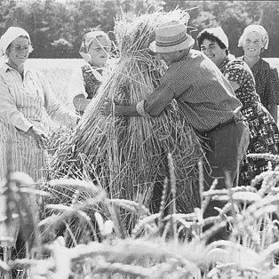 Ferienhof Hardthöhe - Urlaub auf dem Bauernhof, Ernte Erich & Gerta