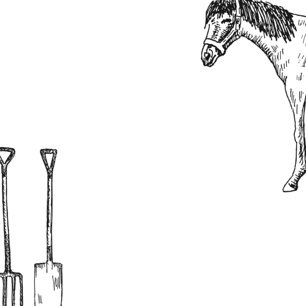 Ferienhof Hardthöhe- Urlaub auf dem Bauernhof, Kaligrafie Pferd