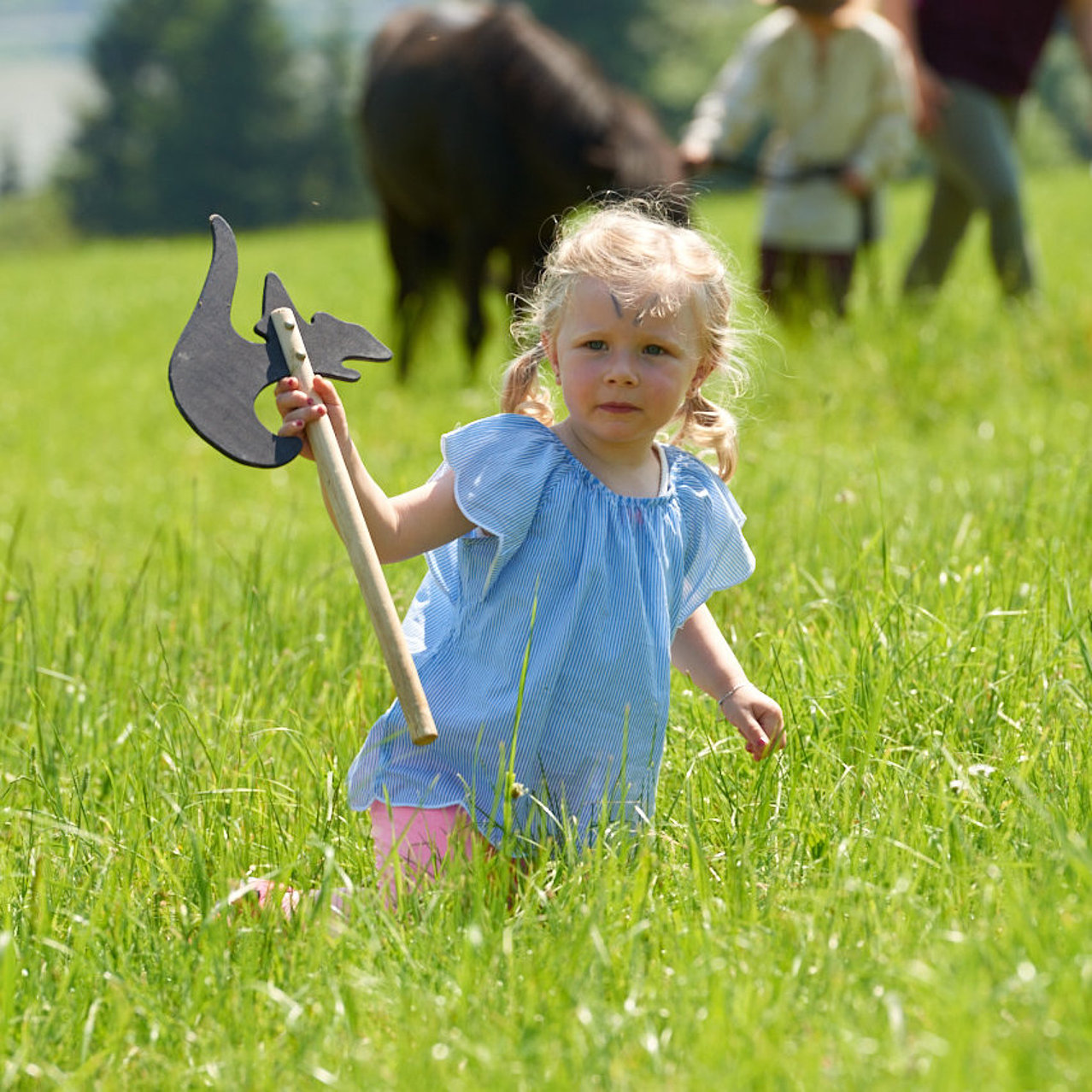 Ferienhof Hardthöhe- Urlaub auf dem Bauernhof, Mädchen Ritterspiele