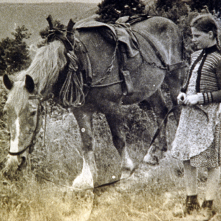 Ferienhof Hardthöhe - Urlaub auf dem Bauernhof, Mädchen mit Pferd